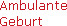      Ambulante
     Geburt